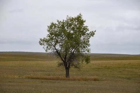 Wyoming Landscape Stock Photos