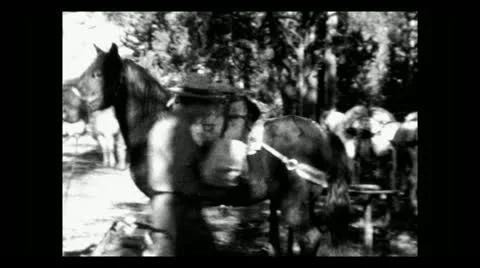 Wyoming loading pack horses 1935 B-W 動画素材 12737167
