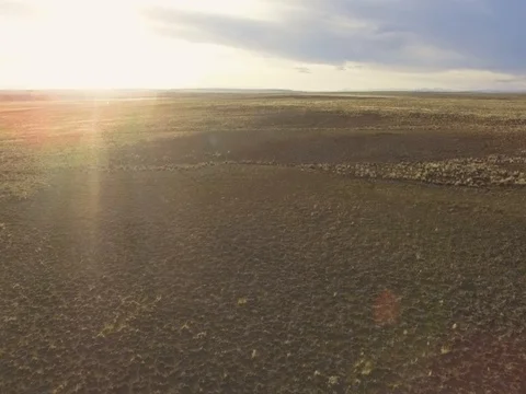 Wyoming Plains 動画素材 77450374