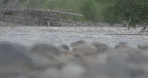 Wyoming River Stock Footage 57536001