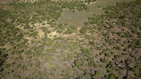 Wyoming sagebrush Stock Footage 83271297