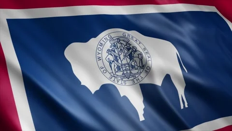 Wyoming State Flag Stock Footage 249035985