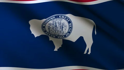 Wyoming State Flag Stock Footage 276105756