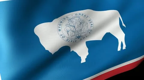 Wyoming State Flag Waving Stock-Footage 11972961