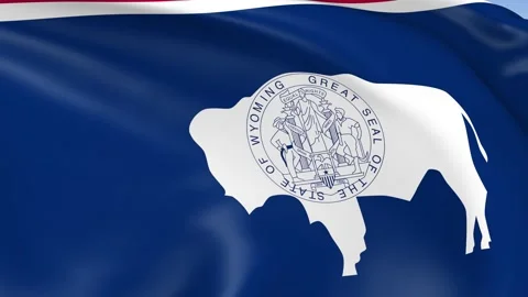 Wyoming State Waving Flag Background Loop Stock Footage 317847441