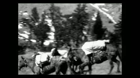 Wyoming trouble with the pack train 1935 B-W 動画素材 12737685