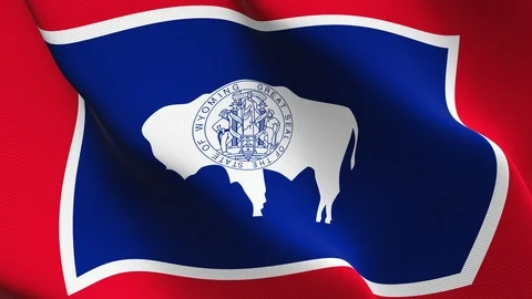 Wyoming US State flag loop waving on wind. Stock Footage 119277998