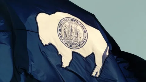 Wyoming (U.S. state) flag waving against blue sky, close up, slow motion 4k Stock Footage 204041214