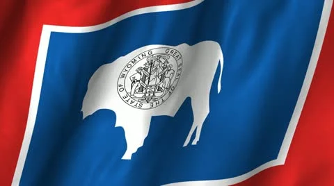 Wyoming Waving Flag Stock Footage 12379538
