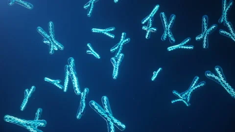 X and Y Chromosome on blue background. Chromosomes with DNA helix inside under Stock Footage