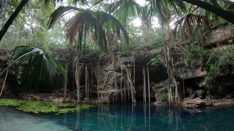 X-Batun cenote vertical panoramic - Yucatan, Mexico 動画素材 146604938