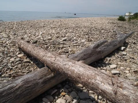 X on the Beach 库存照片