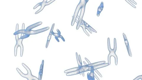 X chromosome . 3D render isolated Stock Illustration