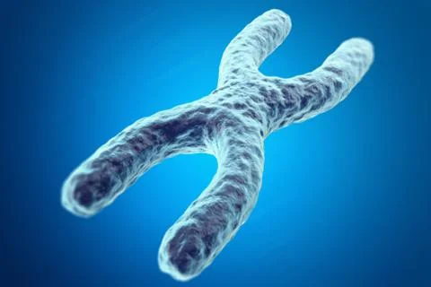 X Chromosome on blue background with focus effect, scientific concept. 3d Stock Illustration