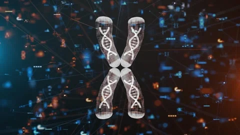 X Chromosome Genetic Structure DNA Biology Molecular Science Vidéo 304643266