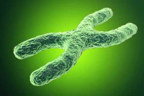 X-Chromosome on green background. with depth of field effect, scientific concept Stock Illustration