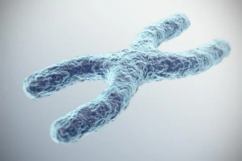 X-Chromosome on grey background. with depth of field effect, scientific concept Stock Illustration