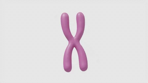 X chromosome - Loop Alpha HD ProRes Stock Footage 328024952