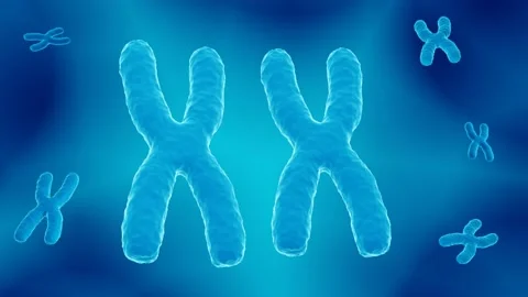X chromosome pair Stock Footage 152770646