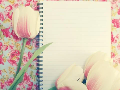 X-default Stock Photos