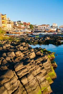 X-default 스톡 사진