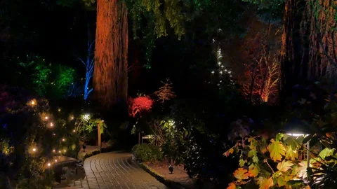 X-Mas Path, Winter at Butchart Gardens Christmas Season Magic Illumination Night Stock-Footage 120552764