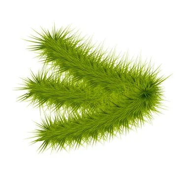 X-mas tree branch Stock Illustration