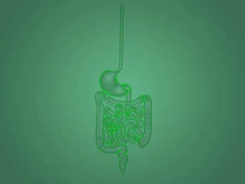 X-ray anatomy Illustrazione stock