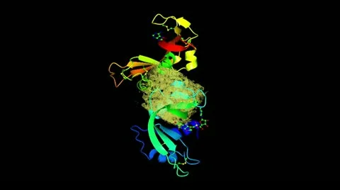 X-ray crystallography model 動画素材 12180165