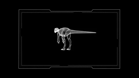 X-ray Dinosaur Skeletons in Sci-Fi Style on Black Background 库存影片 342376012