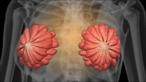 X-ray of the female breasts. Mammogram Stock Footage 74101591