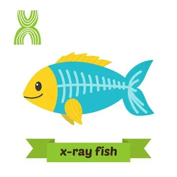 X-ray fish. X letter. Cute children animal alphabet in vector. Funny cartoo.. Stock Illustration