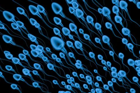 X ray group of sperms Stock Photos