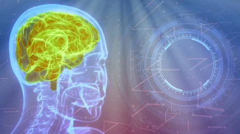 X-ray head with highlighted brain  - digital Illustrazione stock