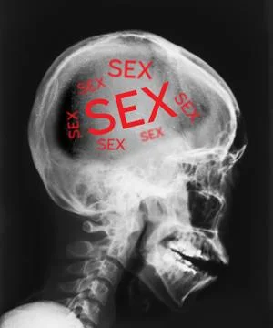 X-ray of head isolated with word sex inside. Stock Photos