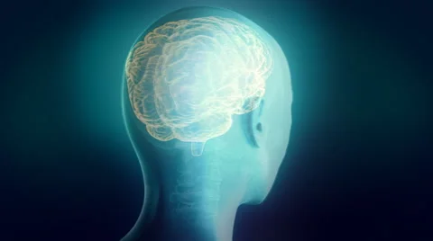 X-ray head showing placement of the human soul Stock Footage 44560146