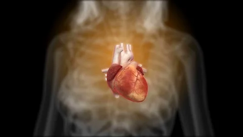 X-ray Heart in action Loopable Stock Footage 74088187