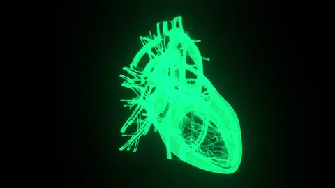 X-Ray Heart Beat 3D Loop 库存影片 332117021