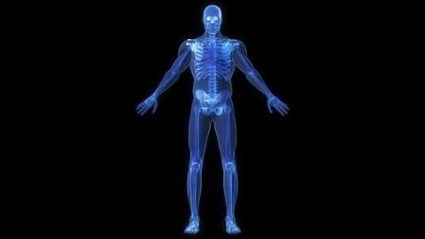 An X-ray of a human body Stock Illustration