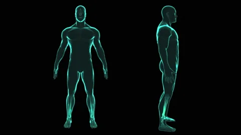X ray human body scan Stock Footage 93962680