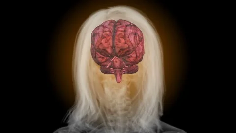 A x-ray human brain with matte Stock Footage 74086749