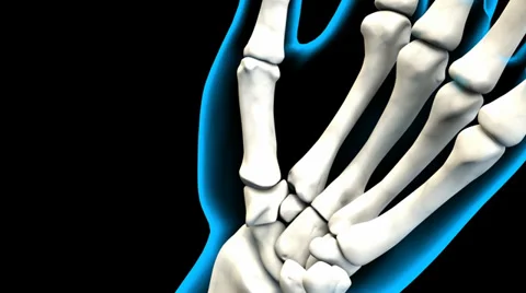 X-Ray of Human Hand bones 4K. ultra HD Stock Footage 38689779