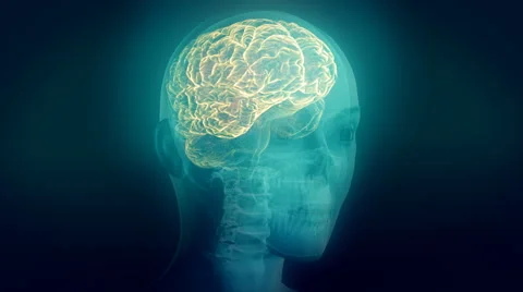 X-ray of human head. Clip B. Loop. Stock Footage 44560157