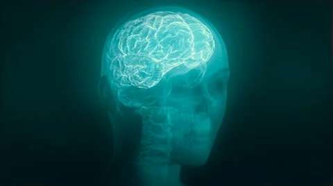 X-ray of human head with skull, spine, brain, veins and nervous system. Loop. Stock Footage 68862086