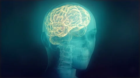 X-ray of human head with skull, spine, brain, veins and nervous system. Loop. 動画素材 68862144