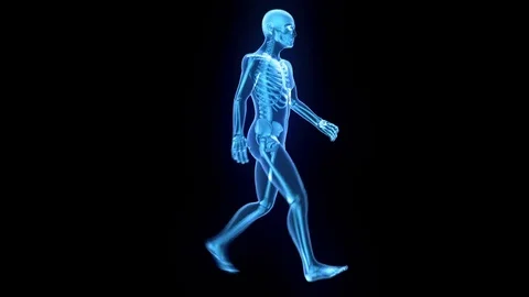 X-Ray of Human Model Walking Stock Footage 73840416