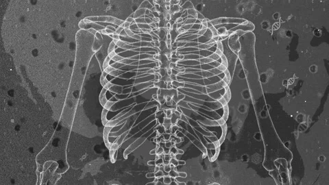 X-ray of Human Ribcage Highlighting Skeletal Structure and DNA Elements 库存影片 339123518