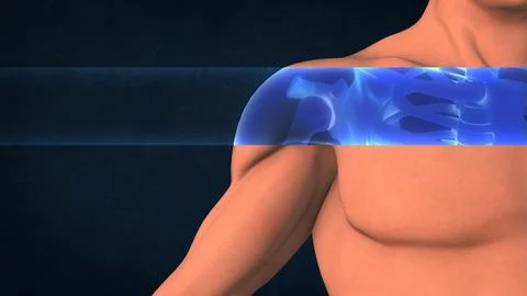 An X-ray of a human shoulder Illustrazione stock