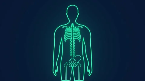 X ray of human skeleton anatomy medical science animation Stock Footage 264960268