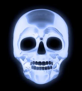 X-ray Human Skull Stock Illustration